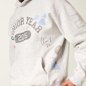 Hollister Gray Senior Year Graphic Hoodie
